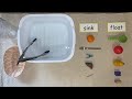 Sink or Float Investigation Quiz