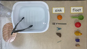 Montessori Science - SINK AND FLOAT