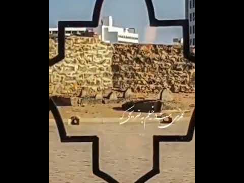 قبرستان بقیع شهادت امام حسن مجتبی علیه السلام