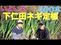 3月27日 下仁田ネギの育て方 400本の苗をいよいよ定植!【男２人でも結構辛い】