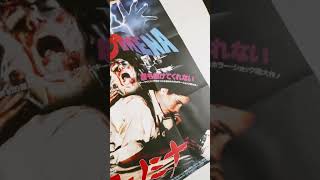 Phenomena Dario Argento collezione Film Dvdblu Ray4k