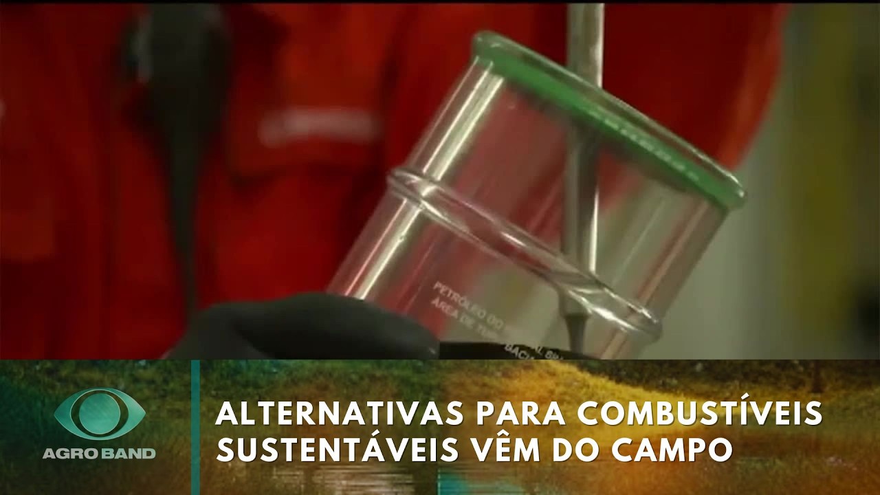 Alternativas para combustíveis sustentáveis vêm do campo | Agro Band