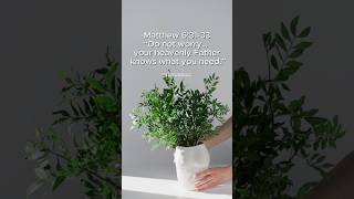 Seek God first, not your worries. He knows your needs and gives peace beyond fear. 🙏✨ #Matthew633