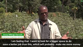 Bt Cotton Cultivation in Kenya: What I have Observed by AfriCenter 65 views 1 year ago 3 minutes, 16 seconds