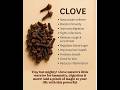 Clove #shorts #ytshorts #ytstdio #clove #diteplan #healthydiet #haircare #healthyeating #healthylife