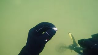 🌊💍 GOLDEN RING CARTIER 💎💎💎!!! WITH DIAMONDS.Scuba Underwater Metal Detecting.