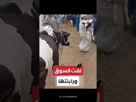 مشهد يبرز غريزة الأمومة