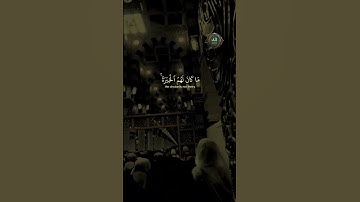 Surah Al-Qasas | سورة القصص – Trust the Journey of Allah’s Plan 📜✨#اكسبلور #لايك #القرآن_الكريم