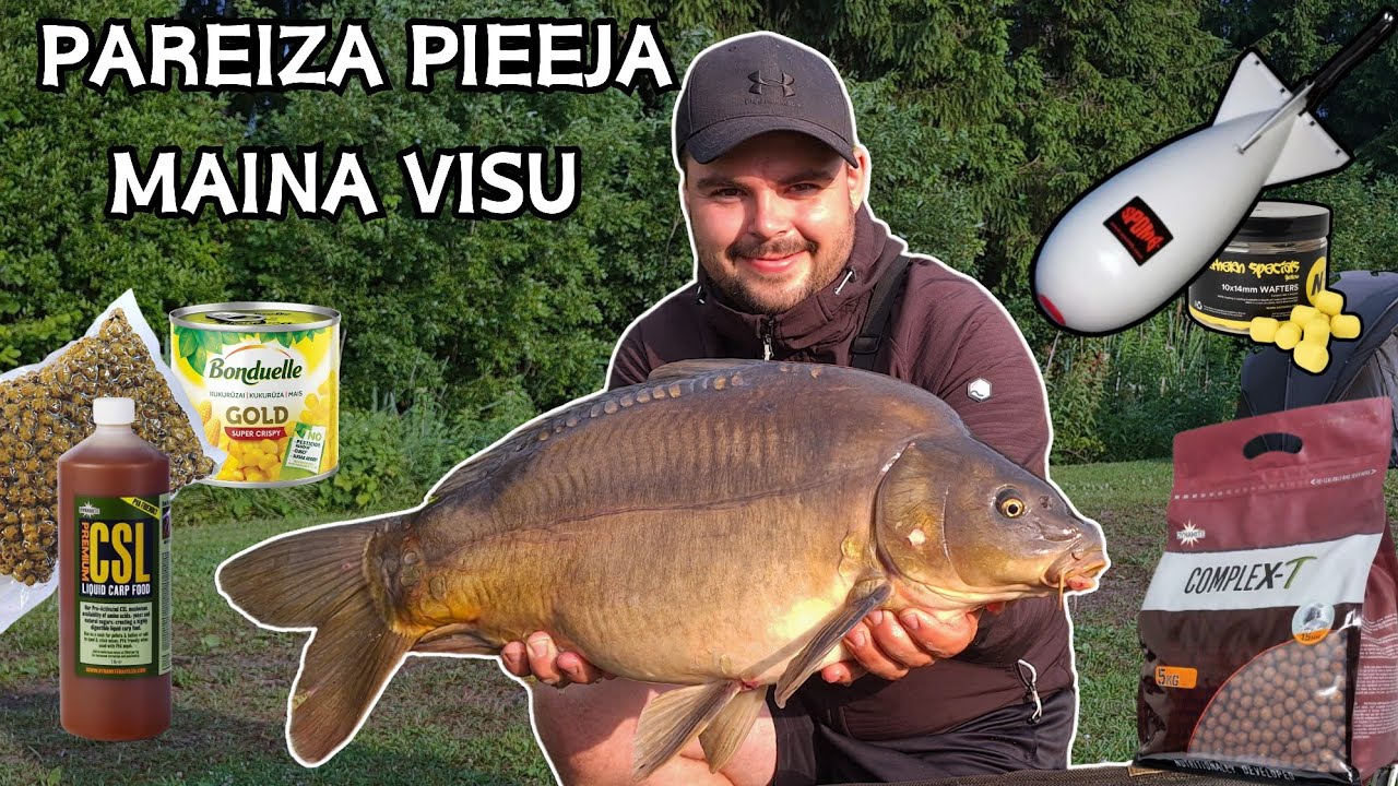 Noslēpums atklāts - ar pareizu pieeju karpas ķerās viena pēc otras! Divu dienu karpu cope (2. daļa)!