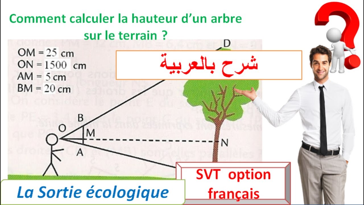 Densité et densité relative SVT TCSF la sortie écologique (شرح بالعربية) -  YouTube