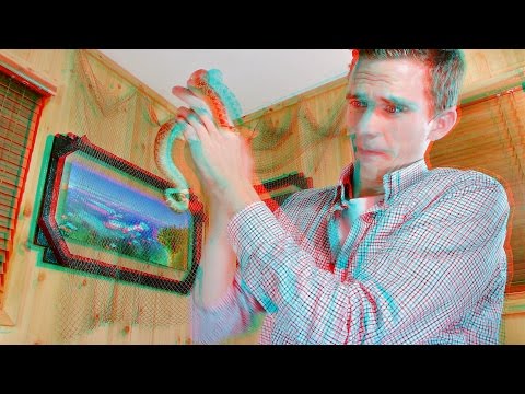 3D Video EXTREME Scary Snake!!!