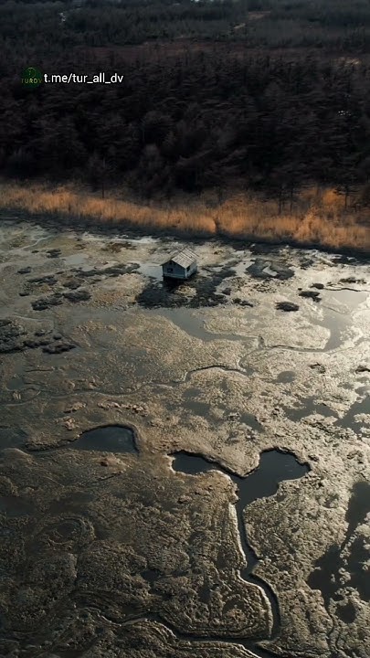 Дагинские термальные источники ♨️ 🌋🏞️📍О. Сахалин #сахалин # ...