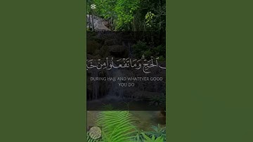 ﴿ الْحَجُّ أَشْهُرٌ مَّعْلُومَاتٌ ﴾ | تلاوة خاشعة تذكّرك بعظمة الركن الخامس 🕋