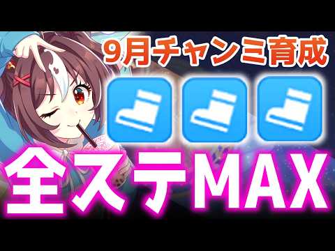 チャンミ】ちょこっとグラン【東京1800m毎日王冠】 ＃ウマ娘 - YouTube