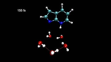 7-Azaindole in water: Proton transfer