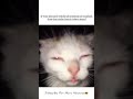 Does It?🥲 #relatable #funny #memes #trending #viral #youtubeshorts #shorts