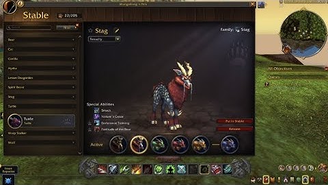 Patch 11.2.7 Pandaren Heritage Exclusive Hunter Pets Public Test Realm