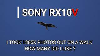 I took over 1800 shots how many did i like ?