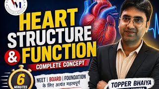 Heart Complete structure and function in 6 minutes 