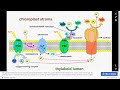 Olimpíada Brasileira de Biologia (OBB) | 15 - Fase 2 - Questões 51-100 |