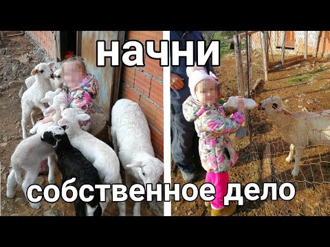 Видео: Ферпа ямар мэдээлэлд хамрагддаг вэ?