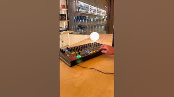 A much more affordable option #behringer #drummachine #tr808 #synth #moogaudio #shorts