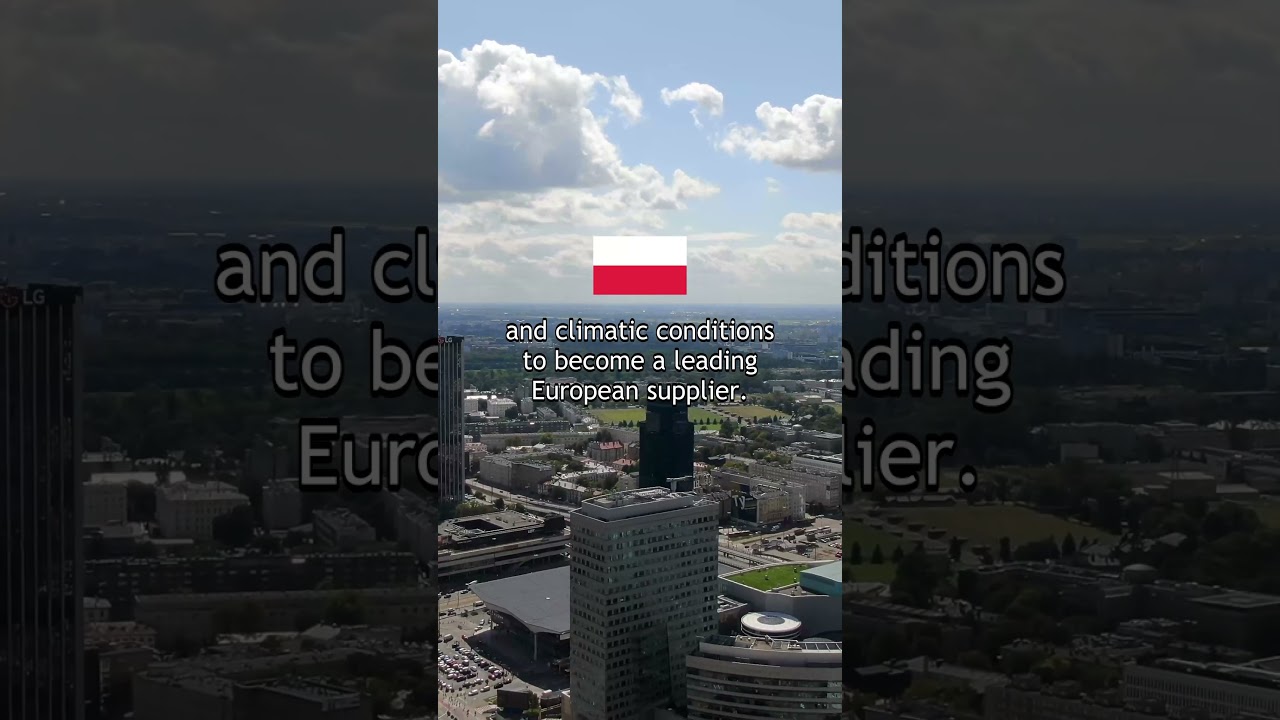 Top 5 Most Apple Producing Countries 