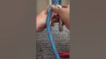 Install Us Type alloy steel Dee shackle With Screw Pin