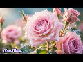 Восстанови нервную систему🌺Лечебная музыка, Перестань думать, Глубокий сон🌿Сергей Грищук