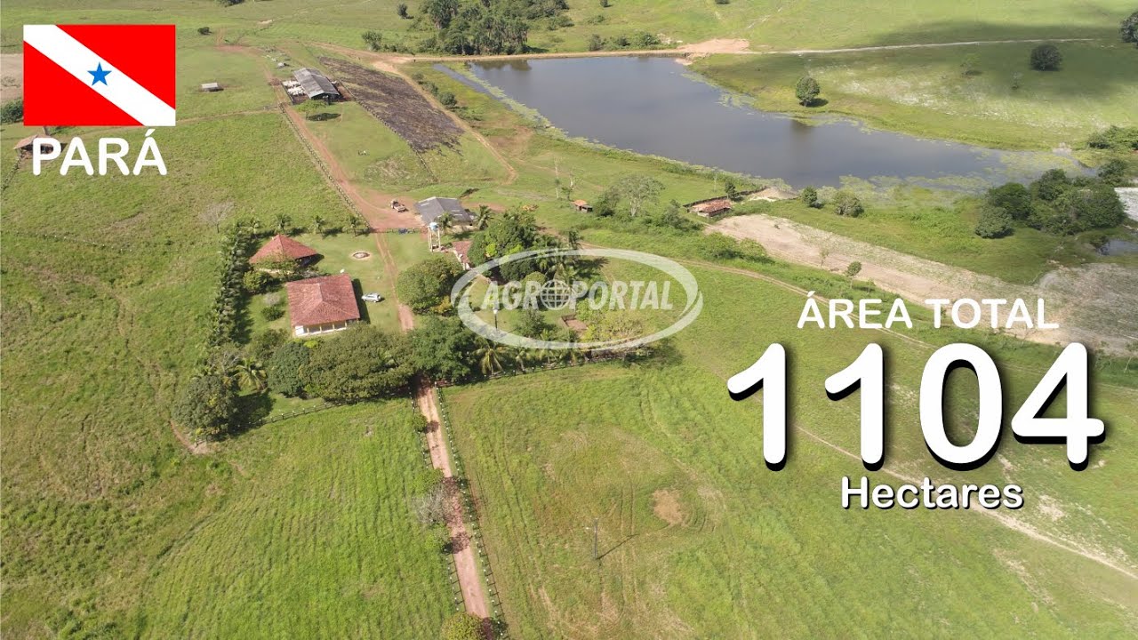 VENDIDA - FA00006 Fazenda à venda no Pará - 1.104 ha (228 alq) - Região de Castanhal