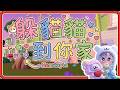 到你家躲貓貓派對《心動小鎮》大家的家園是不是又進化了呢？【#鬼鬼】06/21