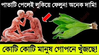 পাইলসের একমাত্র মহাঔষধ || এই পাতা খেলেই দাঁতের ব্যথা, চুল পড়ার সমস্যা, দুষিত রক্ত, হার্টের ব্লক দূর