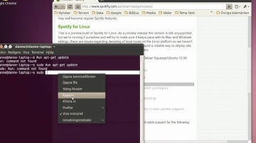 Installera Spotify på Ubuntu 10.04