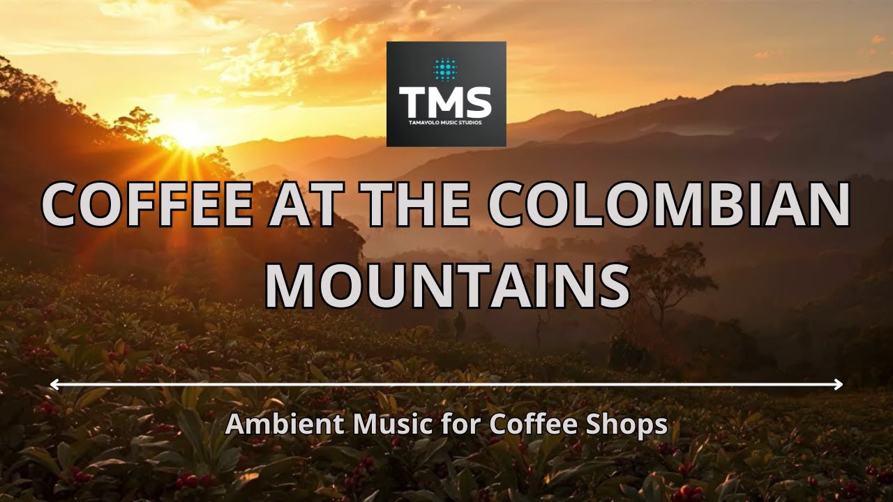 TMS - COFFEE AT THE COLOMBIAN MOUNTAINS 