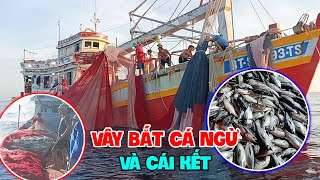 Vây bắt bầy cá ngừ, đầy kịch tính cứ tưởng hụt, ai ngờ...| Ra khơi 2023 - Tập22 | Sóng biển Hứa Đông screenshot 3