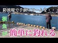 【女川防波堤】で手前にワームを落とすだけで根魚が釣れる【女川】