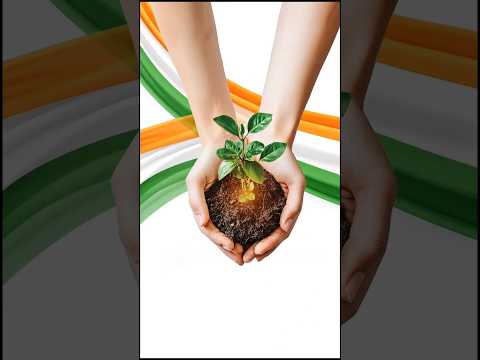 *MFT Tree Plantation Drive – August 2026*