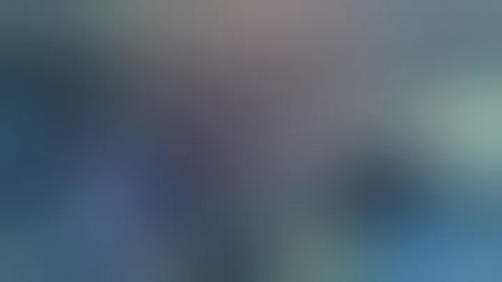 Three round burst AR15 LE6920