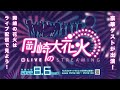 岡崎城下家康公夏まつり 第74回花火大会