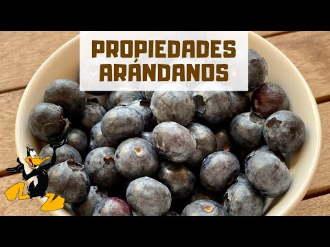 Video: ¿El jugo de arándano ayuda a la candidiasis?