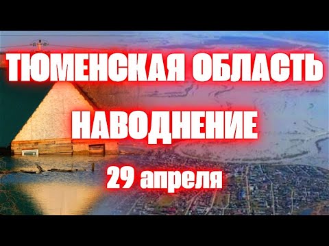 Уровень в кургане на сегодня