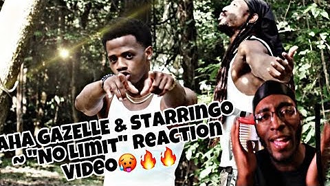Aha Gazelle & Starringo ~ “No Limit” Official Music | Reaction video 🥵🔥🔥