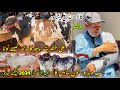 Kala maweshi mandi peshawar new update 2652024 eid ul azha bulls price 2024  khyber social tv