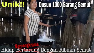 VIRALKAN...!!! Mengunjungi Dusun 1000 Sarang Semut Hanya Ada Di Indonesia