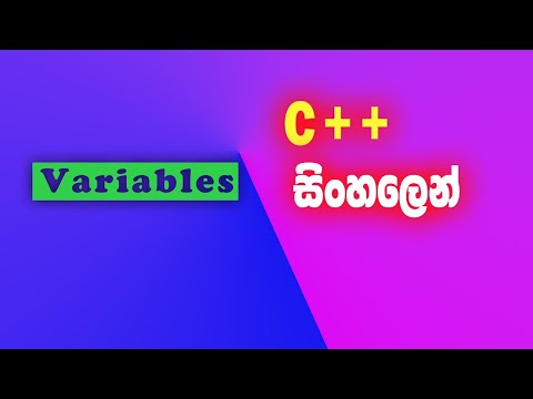 c++ tutorial in sinhala | variable | coding for beginners | programming lesson 8