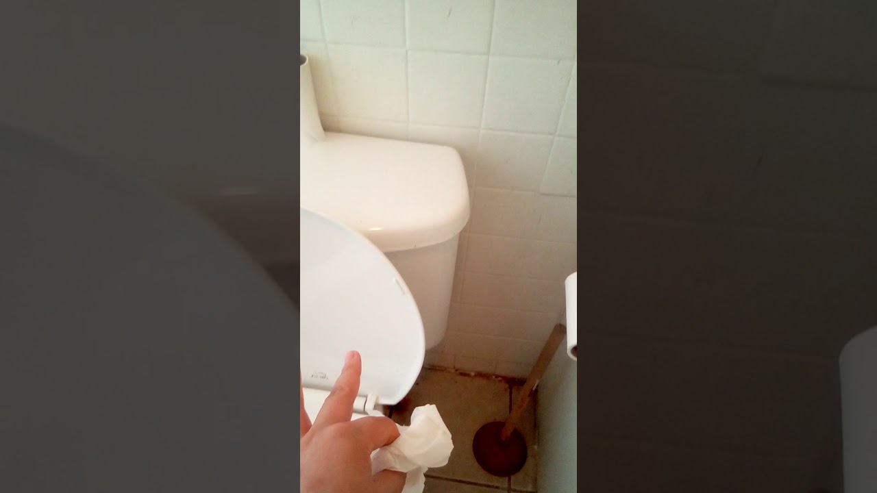 The Most Suprising Toilet Paper Trick EVER! YouTube