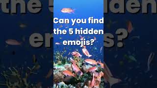 Can You Find The Hidden Emojis In Time #1 Hidden Object Game For Kids