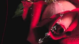 Shayna Zaid ~ It's You ____ with Lyrics