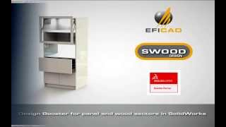 SWOOD Design.avi