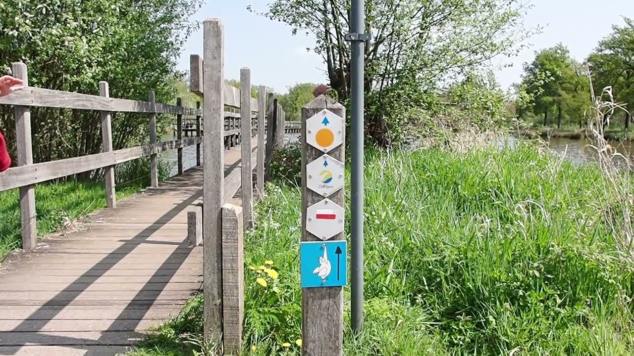 Limburg Heusden-zolder Domein Bovy  Bolderberg 1001 Vijvers De Wijers  Mooiste natuur wandelingen